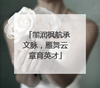 墨润枫航承文脉,雁舞云章育英才