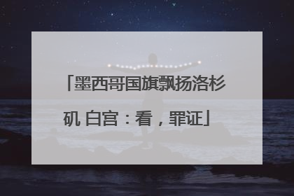 墨西哥国旗飘扬洛杉矶 白宫：看，罪证