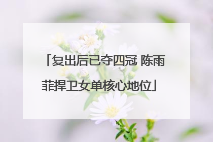 复出后已夺四冠 陈雨菲捍卫女单核心地位