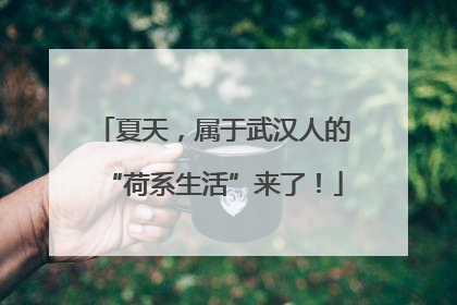 夏天，属于武汉人的“荷系生活”来了！