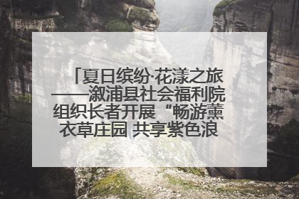 夏日缤纷·花漾之旅——溆浦县社会福利院组织长者开展“畅游薰衣草庄园 共享紫色浪漫”户外活动