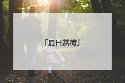 夏日赏荷