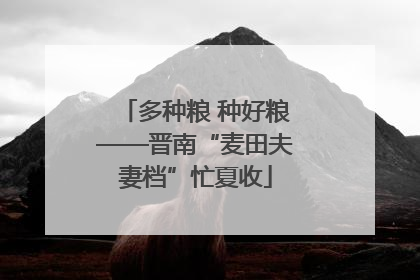 多种粮 种好粮——晋南“麦田夫妻档”忙夏收
