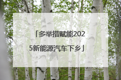 多举措赋能2025新能源汽车下乡