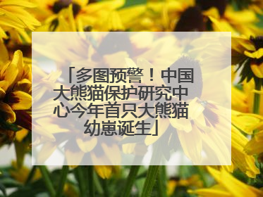 多图预警！中国大熊猫保护研究中心今年首只大熊猫幼崽诞生
