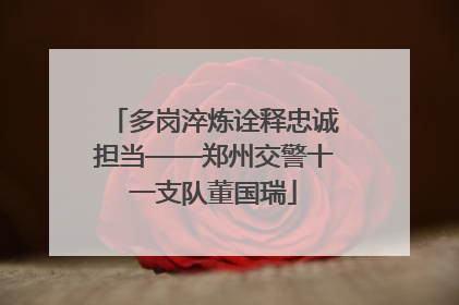 多岗淬炼诠释忠诚担当——郑州交警十一支队董国瑞