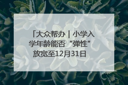 大众帮办｜小学入学年龄能否“弹性”放宽至12月31日？有地方已在探索