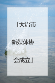 大冶市新媒体协会成立