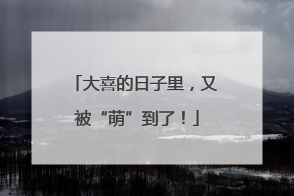 大喜的日子里，又被“萌”到了！