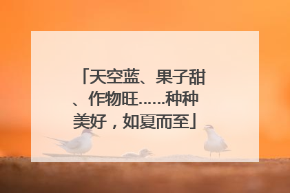 天空蓝、果子甜、作物旺……种种美好，如夏而至
