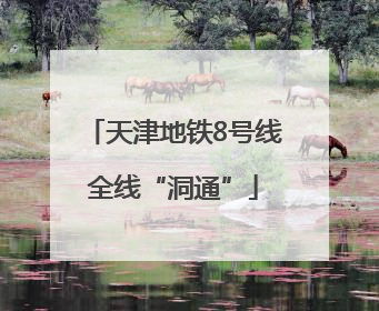 天津地铁8号线全线“洞通”