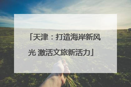 天津：打造海岸新风光 激活文旅新活力