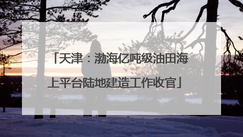 天津：渤海亿吨级油田海上平台陆地建造工作收官