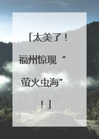 太美了！福州惊现“萤火虫海”！