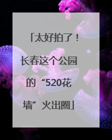 太好拍了！长春这个公园的“520花墙”火出圈