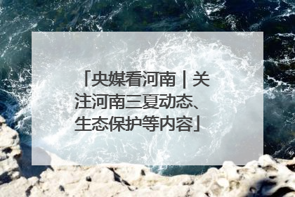 央媒看河南｜关注河南三夏动态、生态保护等内容