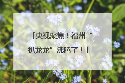 央视聚焦！福州“扒龙龙”沸腾了！