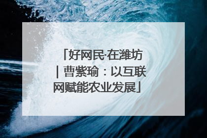 好网民·在潍坊｜曹紫瑜：以互联网赋能农业发展