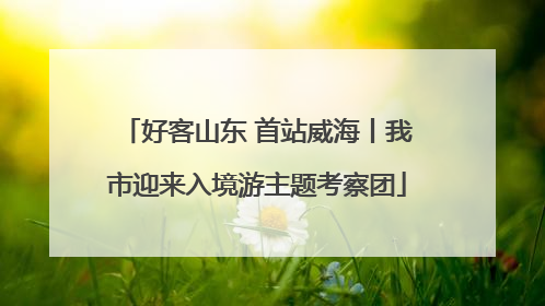 好客山东 首站威海丨我市迎来入境游主题考察团