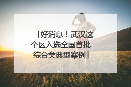 好消息！武汉这个区入选全国首批综合类典型案例
