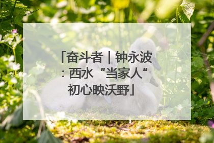 奋斗者｜钟永波：西水“当家人” 初心映沃野
