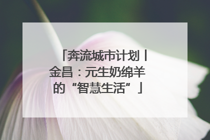 奔流城市计划丨金昌：元生奶绵羊的“智慧生活”