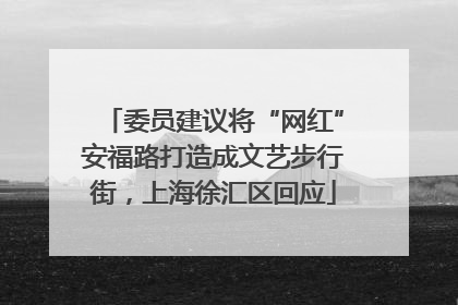 委员建议将“网红”安福路打造成文艺步行街，上海徐汇区回应
