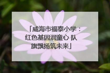 威海市福泰小学：红色基因润童心 队旗飘扬筑未来