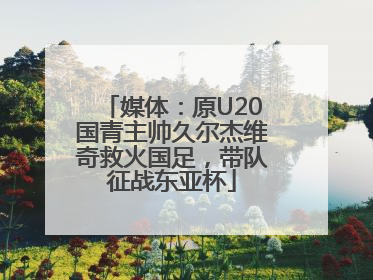媒体：原U20国青主帅久尔杰维奇救火国足，带队征战东亚杯