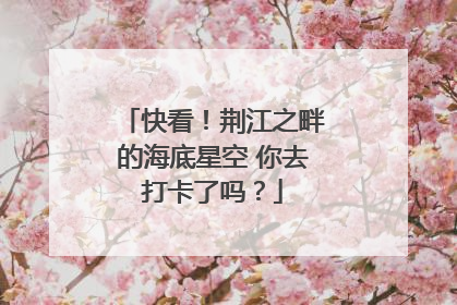 快看！荆江之畔的海底星空 你去打卡了吗？