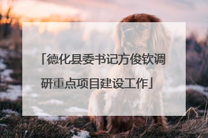 德化县委书记方俊钦调研重点项目建设工作