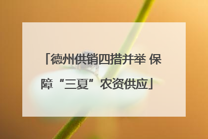 德州供销四措并举 保障“三夏”农资供应