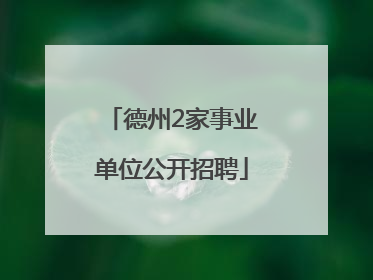 德州2家事业单位公开招聘
