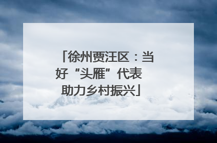 徐州贾汪区：当好“头雁”代表 助力乡村振兴
