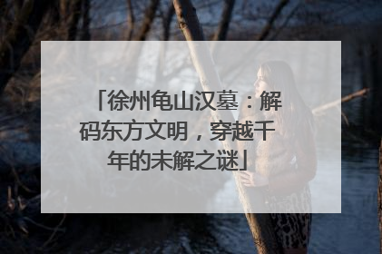 徐州龟山汉墓：解码东方文明，穿越千年的未解之谜