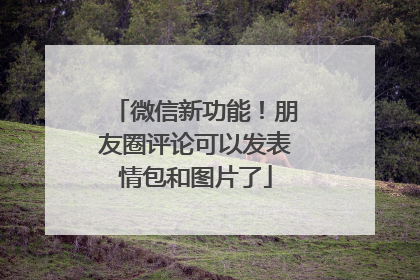 微信新功能！朋友圈评论可以发表情包和图片了