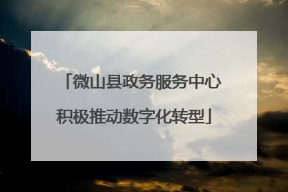 微山县政务服务中心积极推动数字化转型