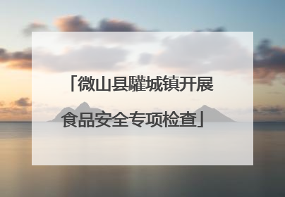 微山县驩城镇开展食品安全专项检查