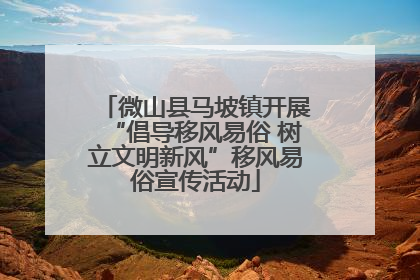 微山县马坡镇开展“倡导移风易俗 树立文明新风”移风易俗宣传活动