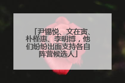 尹锡悦、文在寅、朴槿惠、李明博，他们纷纷出面支持各自阵营候选人