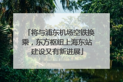 将与浦东机场空铁换乘，东方枢纽上海东站建设又有新进展