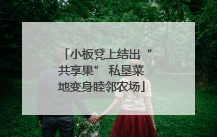 小板凳上结出“共享果” 私垦菜地变身睦邻农场