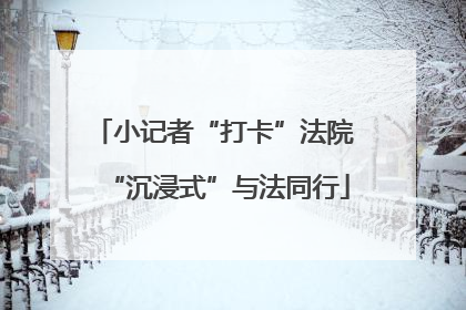 小记者“打卡”法院 “沉浸式”与法同行