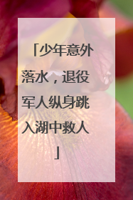 少年意外落水，退役军人纵身跳入湖中救人
