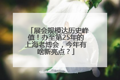 展会规模达历史峰值！办至第25年的上海老博会，今年有啥新亮点？