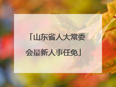 山东省人大常委会最新人事任免