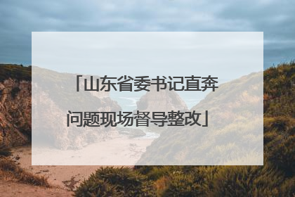 山东省委书记直奔问题现场督导整改