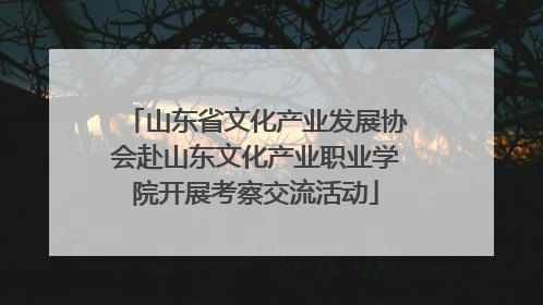 山东省文化产业发展协会赴山东文化产业职业学院开展考察交流活动