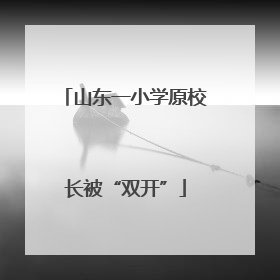 山东一小学原校长被“双开”