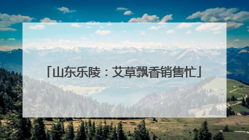 山东乐陵：艾草飘香销售忙